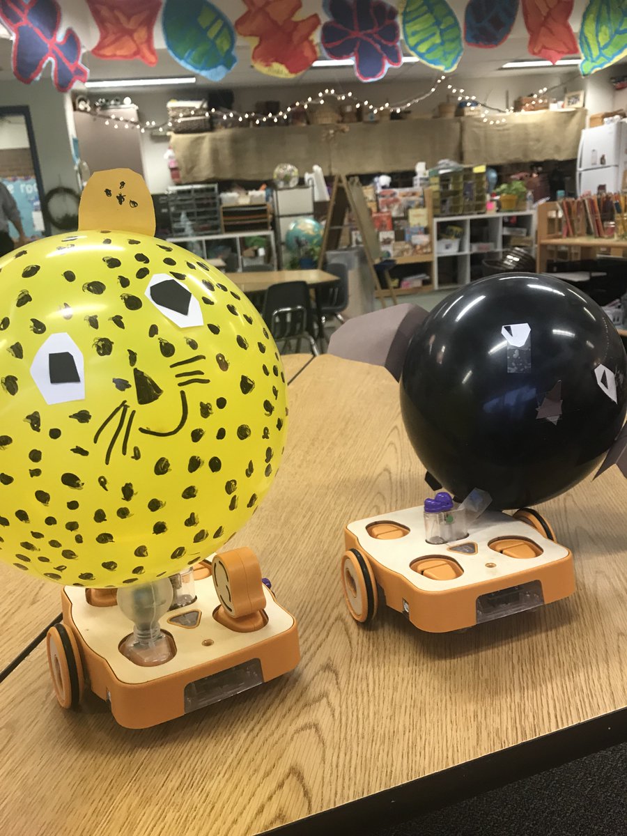 Sarah Petersen tweet media