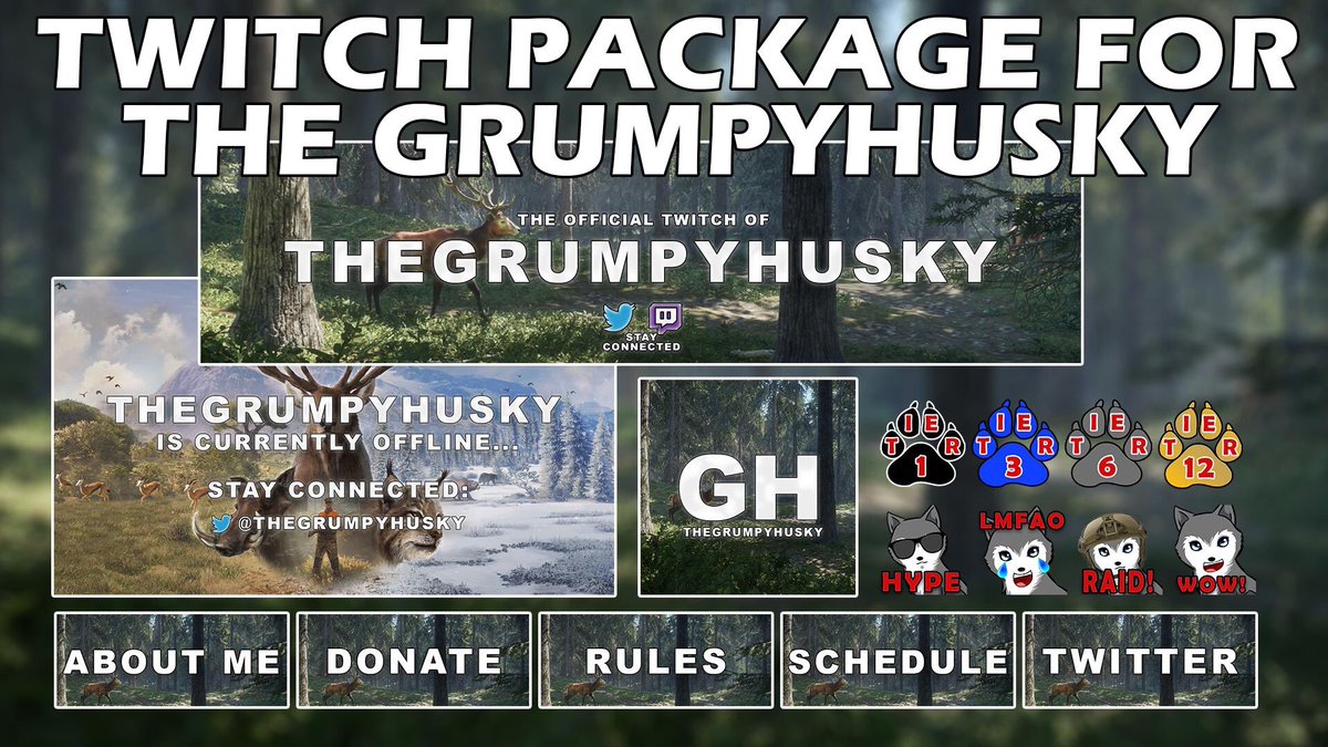 OblivionGFXS's tweet photo. Twitch package made for @TheGrumpyHusky a while back! Interested in new twitch graphics, or new youtube graphics? Send me a DM! #gfx #twitchgfx #twitchemotes #youtubebanner #GFXDesigner https://t.co/3mkut00gBK