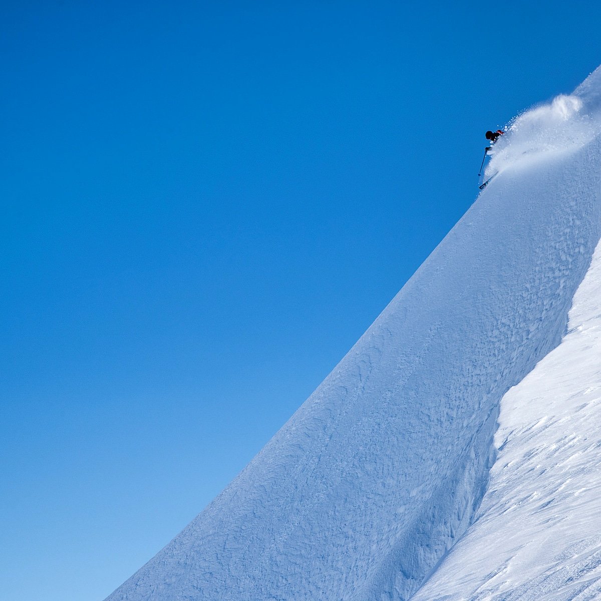 Seaba Heli tweet media