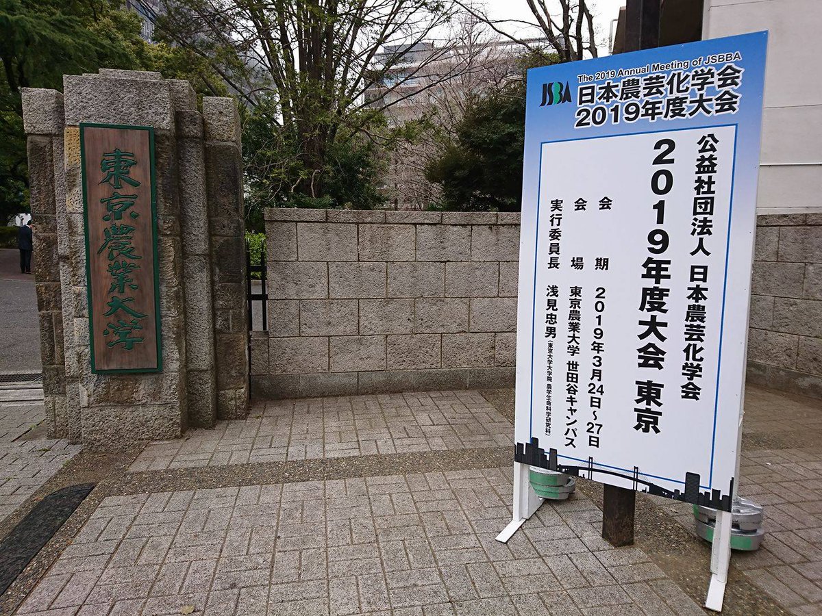 Yodosha_EM's tweet photo. 日本農芸化学会2019年��東京大会取材のため東京農業大学に来ています。3日目の本日は小雨の肌寒い天気ですが、オルガノイドを使った食品機能研究や生合成デザインの研究など、熱く興味深い発表・議論にわくわくしています。関連書を揃えた羊土社ブースにも、ぜひ発表の合間にお立ち寄りください（佐） https://t.co/qquOo0NEX0