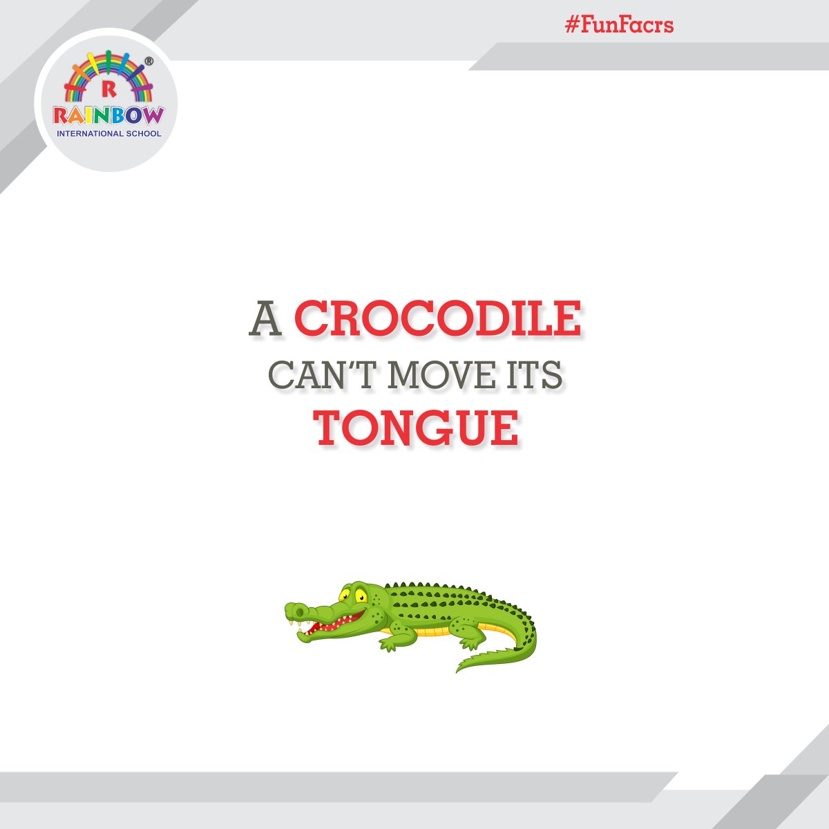 rainbowCBSE's tweet photo. #DidYouKnow?
 A crocodile's tongue doesn't move. It is held in place at the roof of the mouth by a membrane. Because crocodiles spend so much time underwater, the tongue helps keep the throat closed.
#RainbowInternationalSchool #FunFacts https://t.co/0hjldeZx49