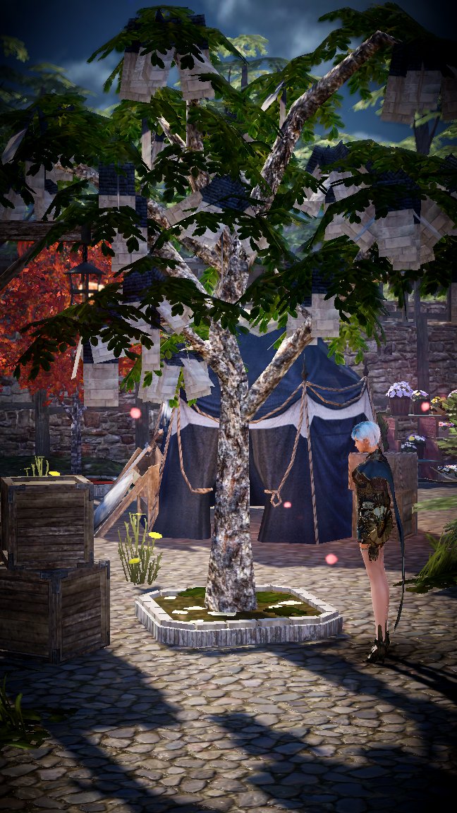 それでも世界は美しい菱田もえこ5 29a予定 ルディに教えて貰った アカシアの木 本当に壁が実ったwww 黒い砂漠モバイル アカシアの木 壁が実った メディア鯖