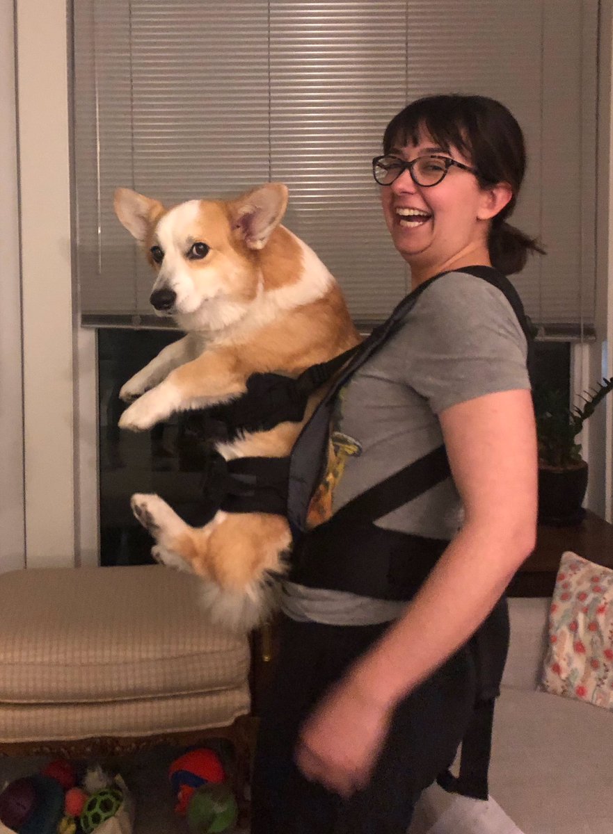 Constance Caramanolis tweet media