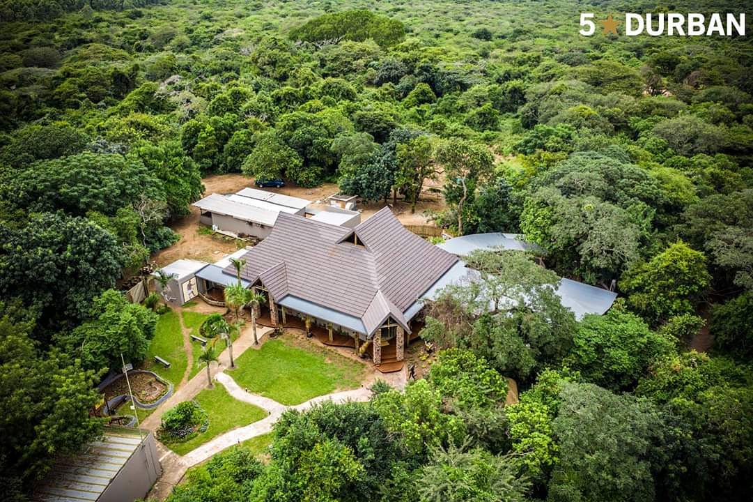 We are loving it here at  Gooderson DumaZulu Lodge and Traditional Zulu Village! 

Scenic bush beauty a mere 3 and a half hours from Durban. 

#5StarDurban #5StarKZN #KZN #GoodersonLeisure #Escape #Adventure 

<a href="/Gooderson/">Gooderson Leisure</a>