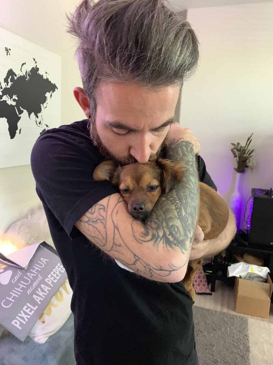 mikegaboury's tweet photo. Miss the doggos already! We left them with @HannahRayNinja while we’re at pax. 

So if we’re lucky she’ll be blessing our timelines this week. https://t.co/v5b2DsRzga