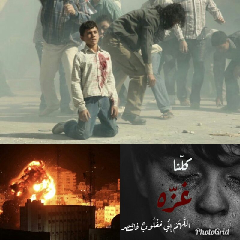 اللهَّم اني استودعتك غزة وأهلها ،رجالهاونسائها،شبابها وبناتها،كبارها وصغارها،ليلها ونهارها،سمائها وارضها، ومسآجدها وبيوتها فأحفظها يارب"اللهم انصر من نصرهم واخذل من هذلهم"
#غزه_تحت_القصف