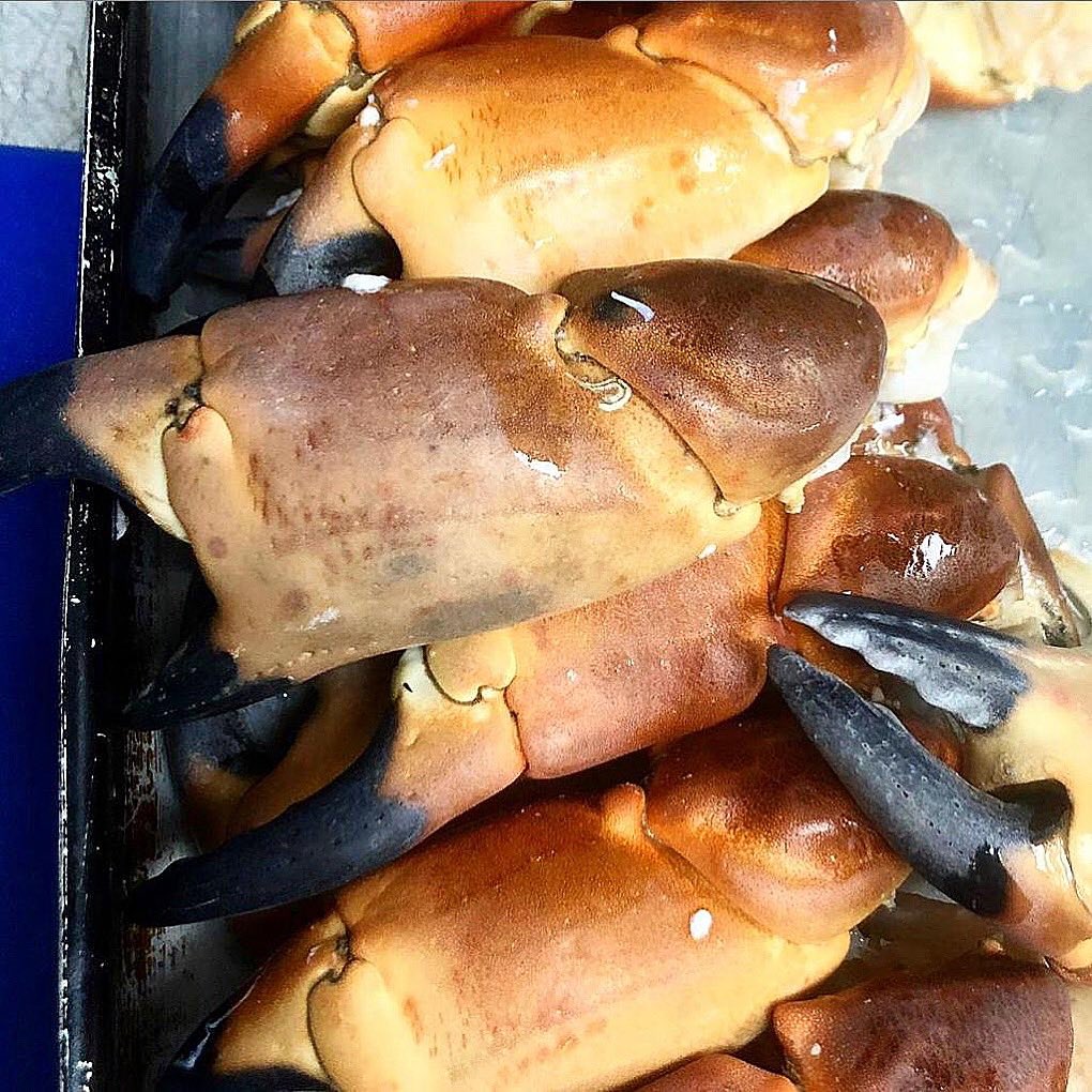 Delicious crab claws.. 🦀
..
..
#freshshellfish #crab #scottishproduce #fresh #scotland #timetogetcracking #bonniebadger #gullane #eastlothian @goeastlothian