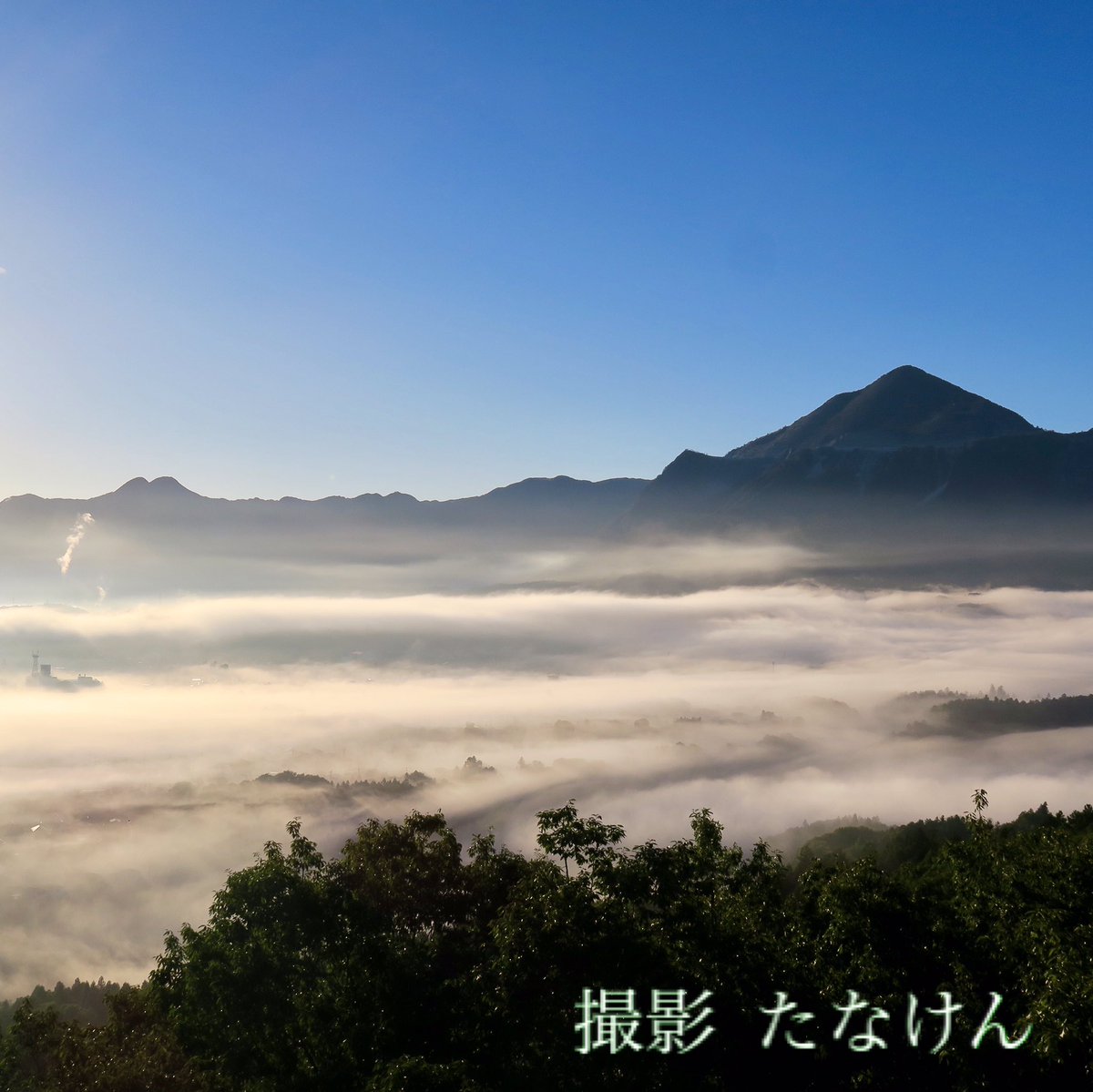 多鳴鍵 たなけん Kuraaken Twitter 多鳴鍵 たなけん Kuraaken Twitter