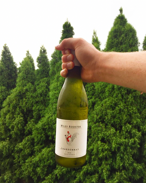 NakedWinesAus's tweet photo. @MrHordern 2018 Chardonnay 🍷
"This new world Chardy really hit the spot for a treat. A fresh stone fruit and melon palate, perfect for afternoon sipping!" 

Thanks for sharing this awesome #winereview on your Instagram page Angel Emma Luisa! https://t.co/jaO6St5ybi
