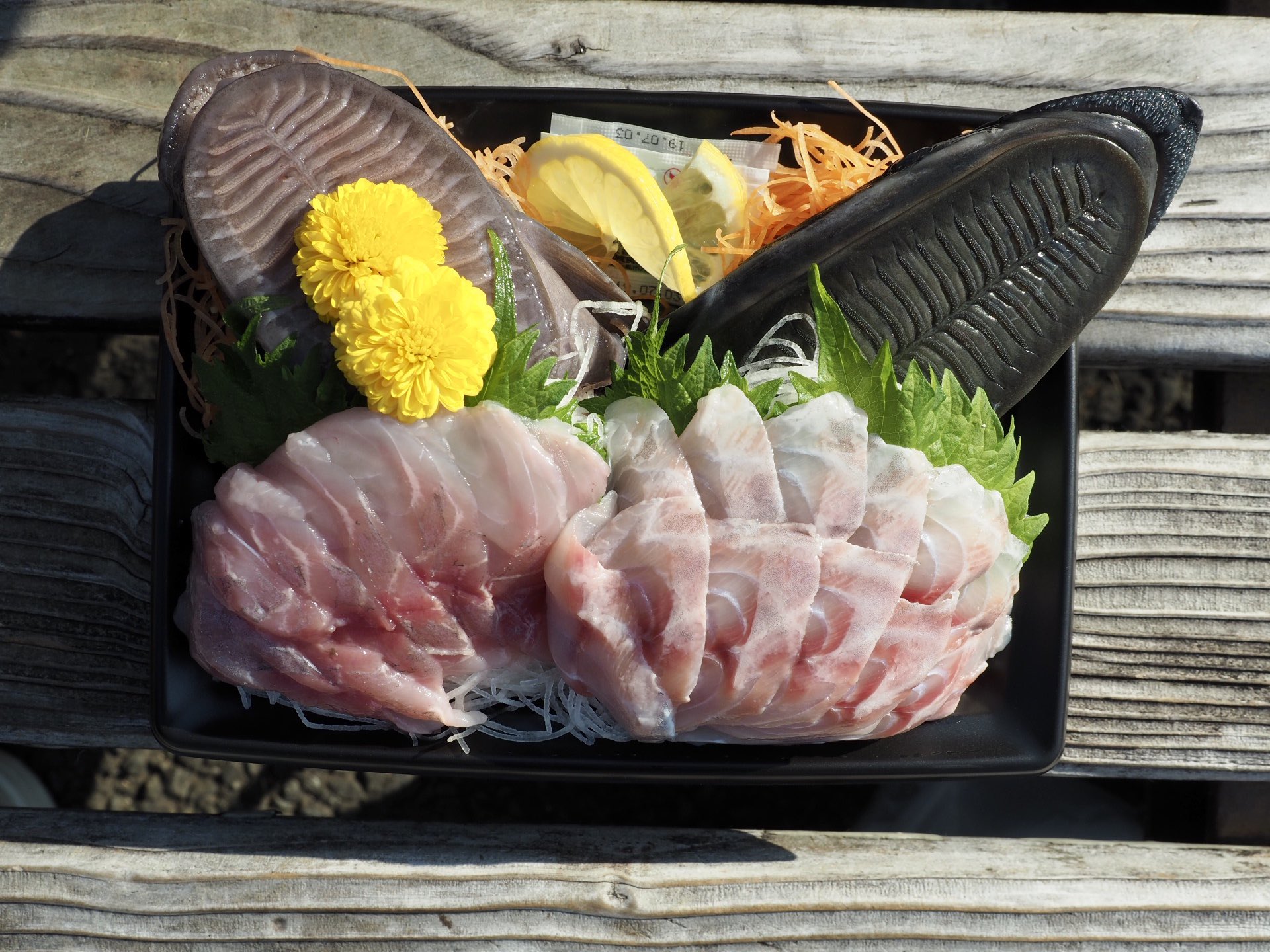 長嶋祐成 シロコバン とコバンザメ のお刺身２種盛り 偶然こんな魚たちと出会えて僥倖でした T Co 566lggrbm8 Twitter