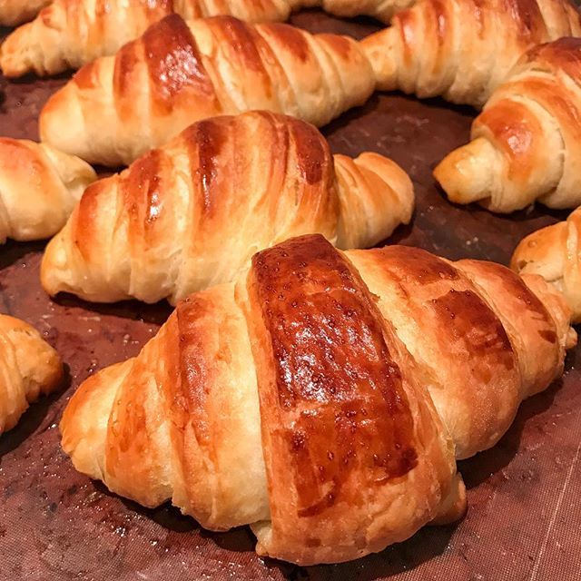 BreadBakerDani's tweet image. Definitely the morning for a fresh baked croissant with a great cup of coffee! Made using @shiptonmill Type 55 French flour. What will you have with yours?.
.
.
#croissant #croissants #frenchbaking #artisanbread #patisserie #rofcooven #wearerealbread ift.tt/2YlXs2C