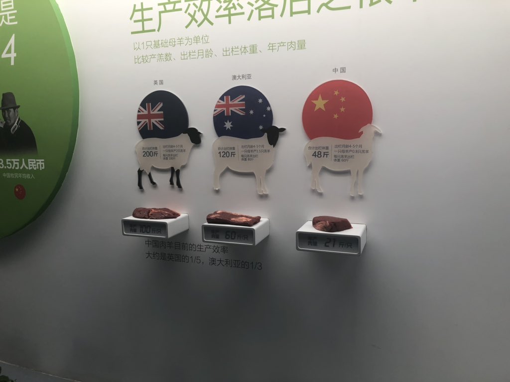 #OpportunityAsia delegation tour of China, where we have brought 30 customers from around Australia. In two days we have covered Sino Sheep Technology Company, meat processing facilities and local selling market 
#sheep #wool #meat #ANZ  #sinosheep 

bluenotes.anz.com/posts/2019/03/…