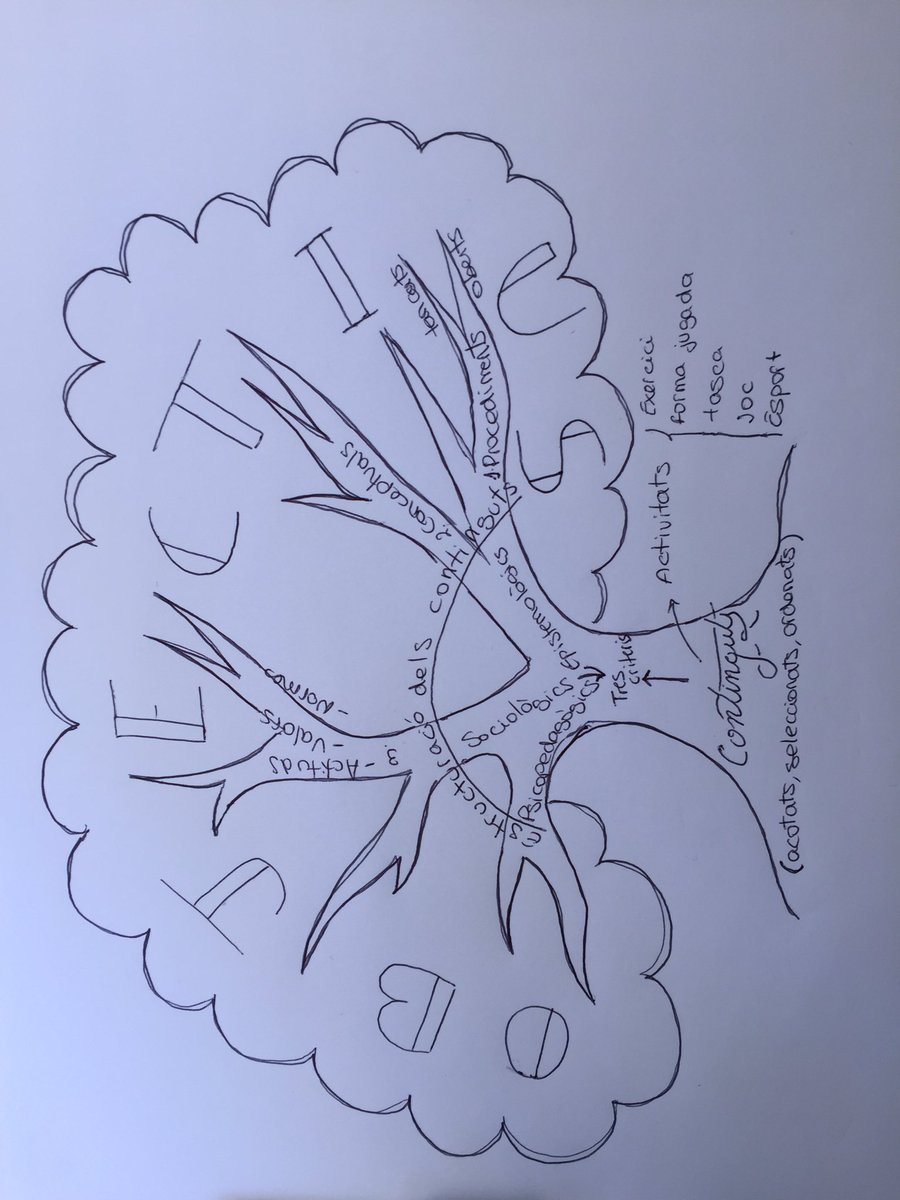 12Albert3's tweet photo. Continguts i activitats d’aprenentatge REPTE #TopProgram2019 https://t.co/DYcSpIIFd7