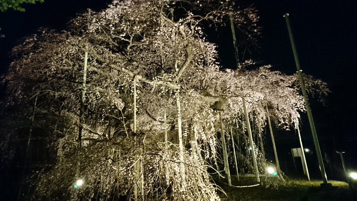 龍ケ崎市観光物産協会 Syouko15 Twitter 龍ケ崎市観光物産協会 Syouko15 Twitter