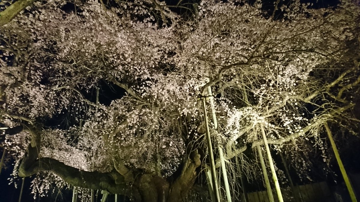 龍ケ崎市観光物産協会 Syouko15 Twitter 龍ケ崎市観光物産協会 Syouko15 Twitter