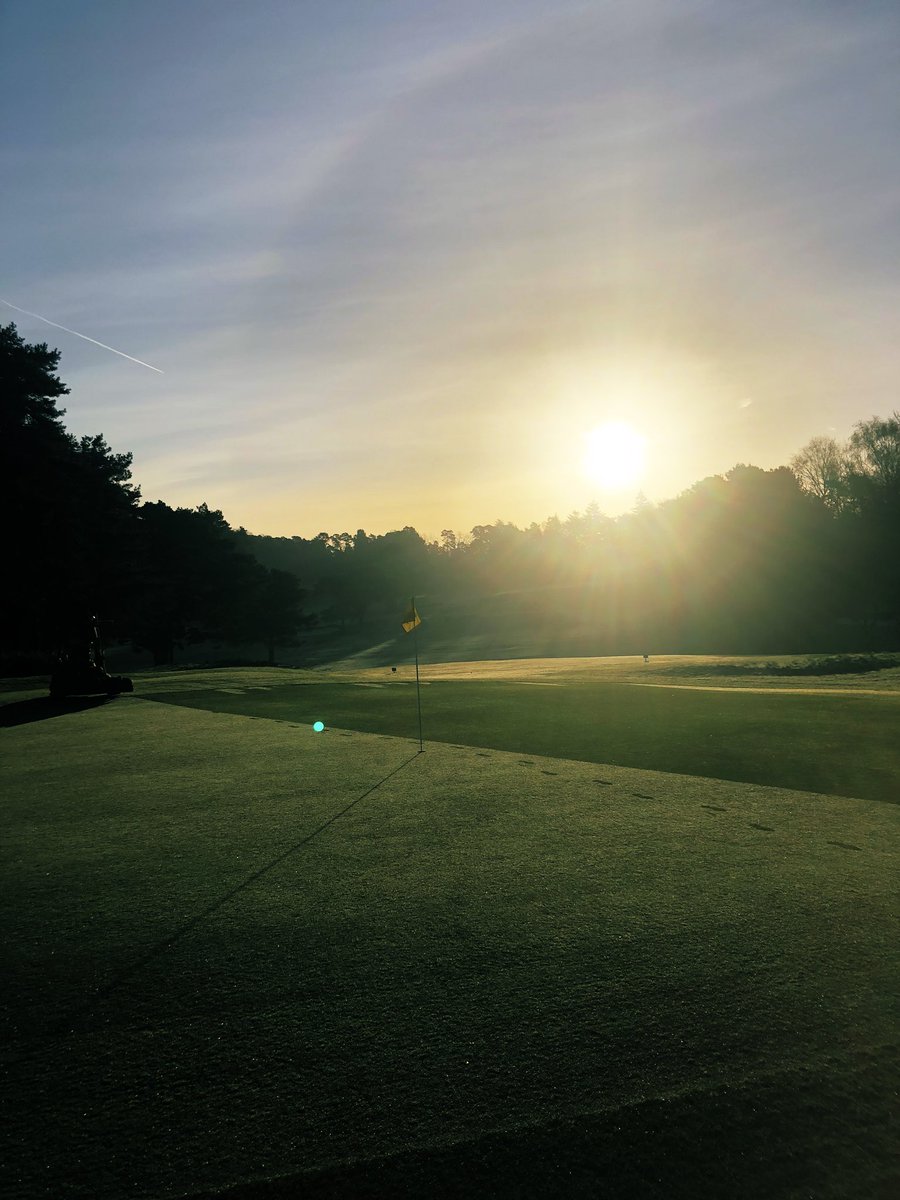 Brad Annels tweet media