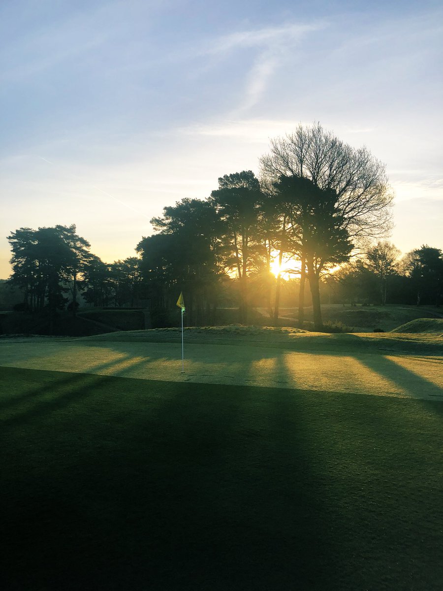 Brad Annels tweet media