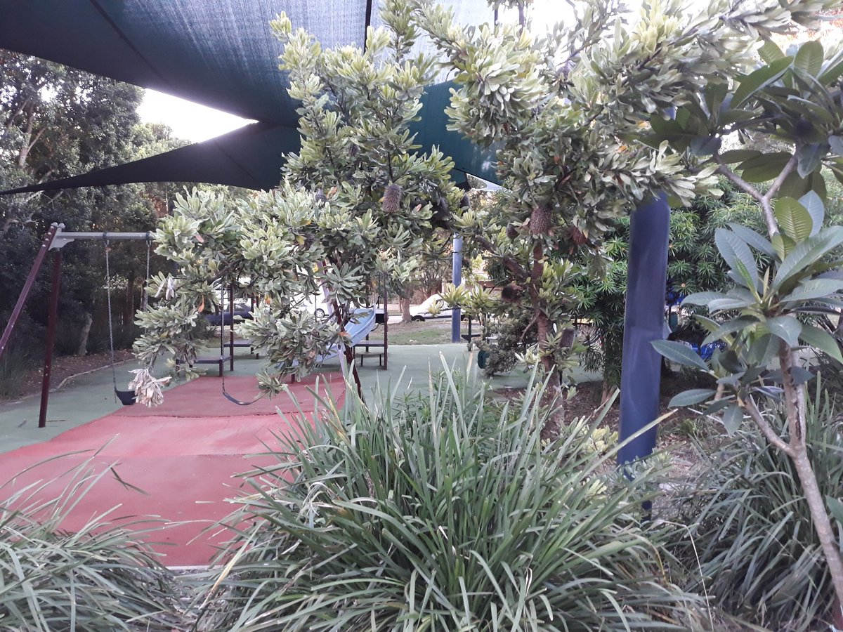 nessiejones22's tweet photo. Quiet little children's playground. Central Sydney. So bushy, leafy. Such generous play equipment for a tiny park compared to #cbr. Nice to see. #bushycity #gooddesign #oldzone https://t.co/L2qNdJZ68c