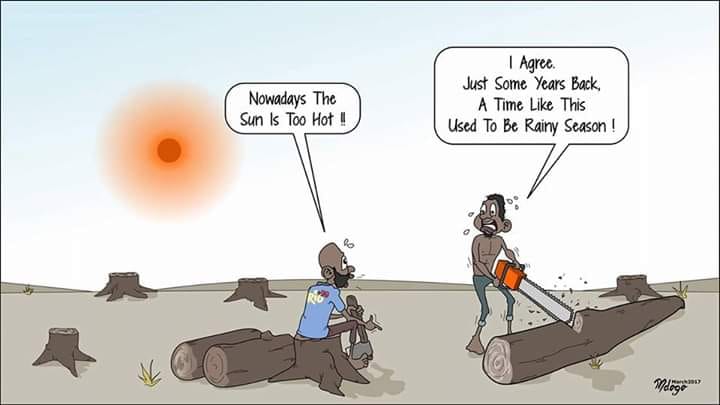 FarmersTrend's tweet photo. Its serious, its happening

 #ClimateChangeKe https://t.co/DWzxrVltNT