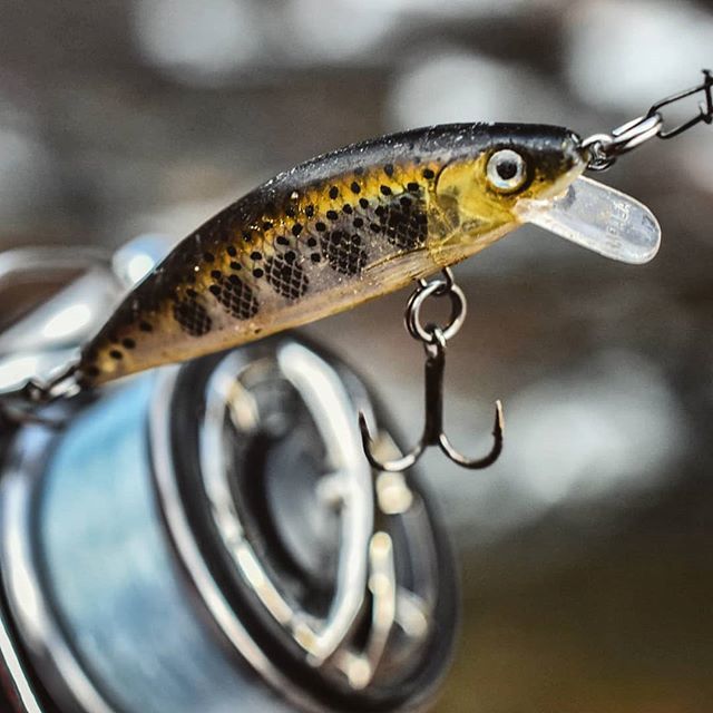 VMC Hooks on X: #Rapala X-Rap Countdown - MD What is your favorite lure  for trout fishing ? --------------------------- #lurefishing #trout #truite  #troutfishing #fishinglife #fishingtime    / X