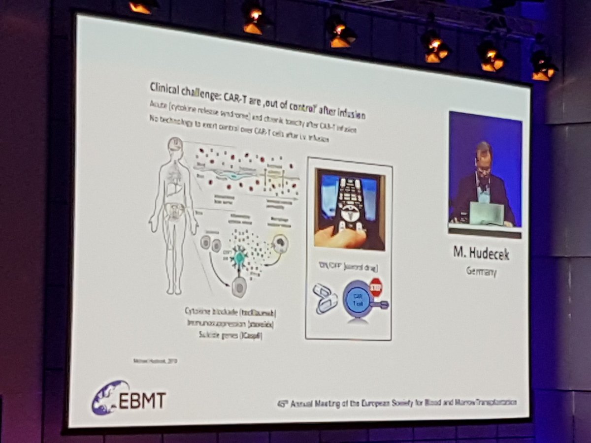 Ann Van de Velde tweet media