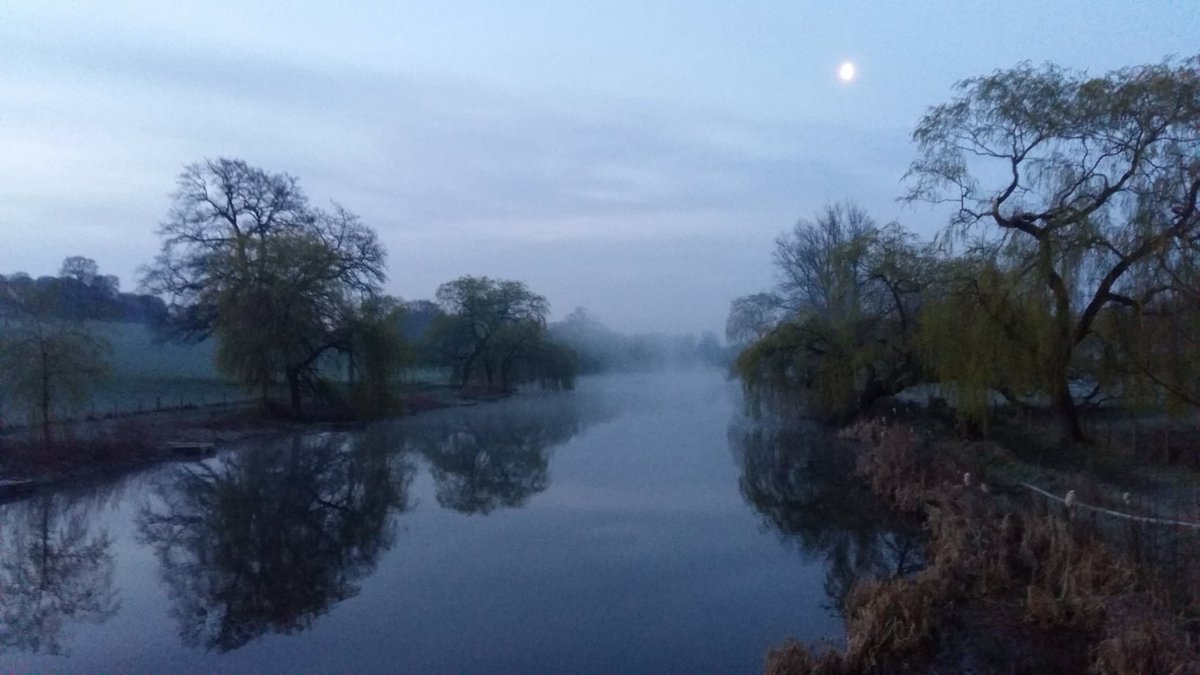 Mark Williams tweet media