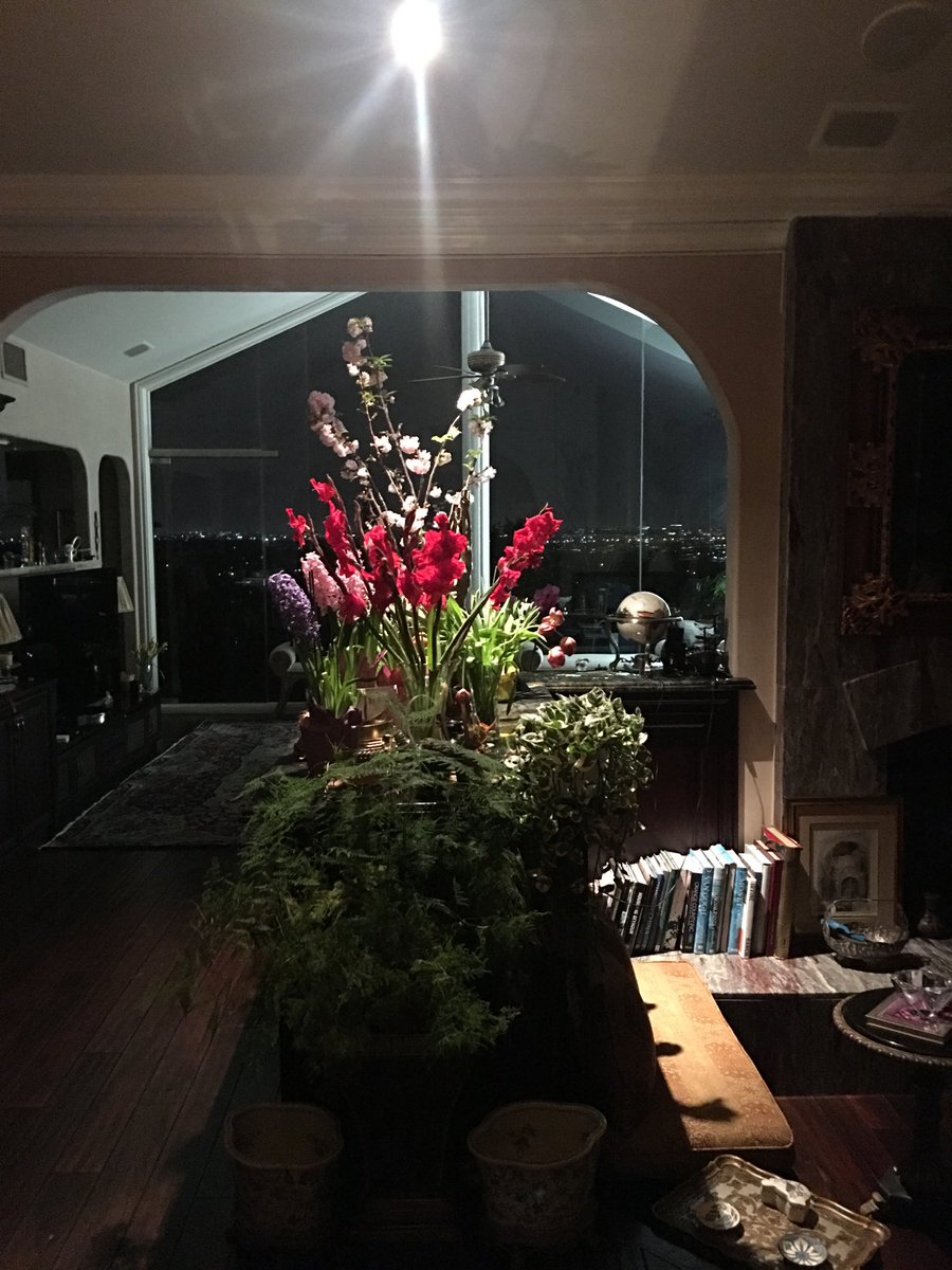 fmfredameri's tweet image. 