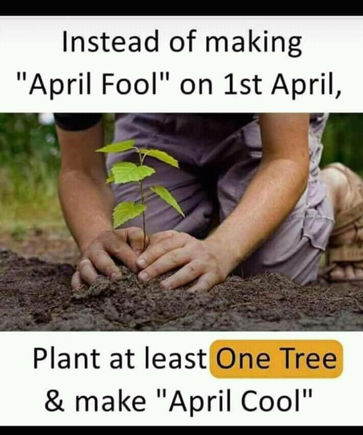All Foresters Network (@allforester) on Twitter photo Forget #AprilFool, Let's plant one tree to make #AprilCool Forget #AprilFool, Let's plant one tree to make #AprilCool