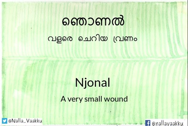 Nalla_Vaakku's tweet photo. Time...heals all wounds?? #word #wordconservation #nallavaakku #wounds #cuts #broken #malayalam #language https://t.co/1o9vbfE1kw https://t.co/KsVGEtSu4k