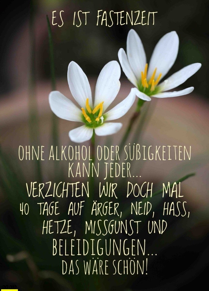 Pҽɾԃiƚa A Twitter Guten Morgen Meine Liebe Doris Ich Danke Dir Ist Heute Mehr Als Notig Hab Du Einen Wunderschonen Stressfreien T Co Xs7esmxn7r