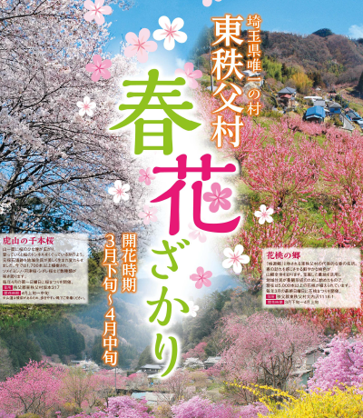 埼玉県庁 東秩父村の花桃が見頃 里山の風景が広がる東秩父村で 花桃が見頃 桃源郷 と称されるほど美しく咲き誇ります 3月 31日 日 には 花桃まつり を開催 T Co Zwqzqnuael