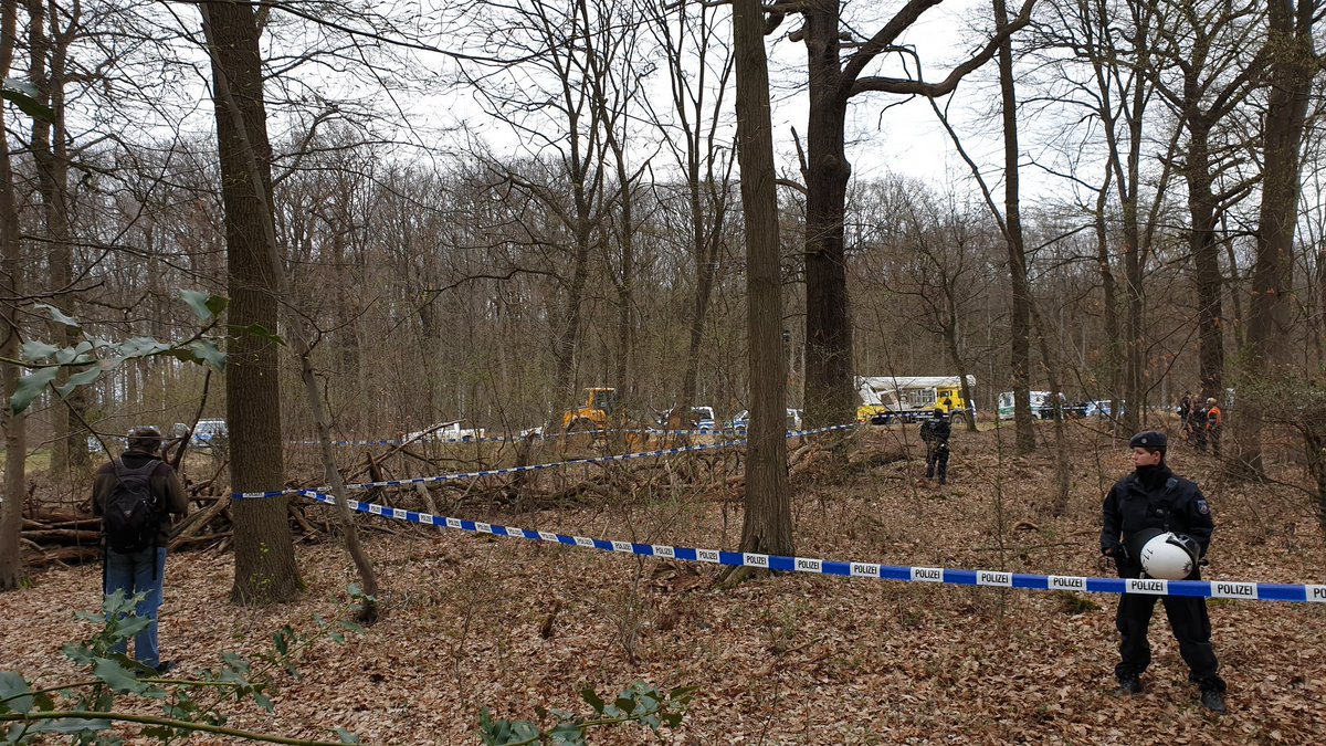 MiA Froehlich tweet media