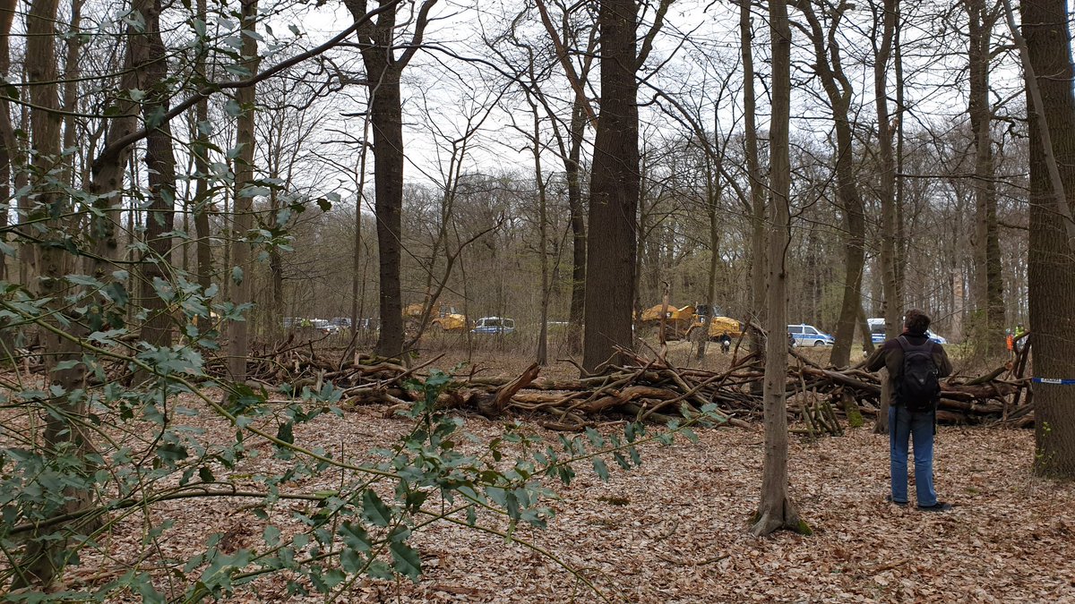 MiA Froehlich (@froehlich_mia) on Twitter photo Hebebühne kommt, #HambiBleibt ⚠️
Ca 15-20 Wannen vor dem #Krähennest Hebebühne kommt, #HambiBleibt ⚠️
Ca 15-20 Wannen vor dem #Krähennest