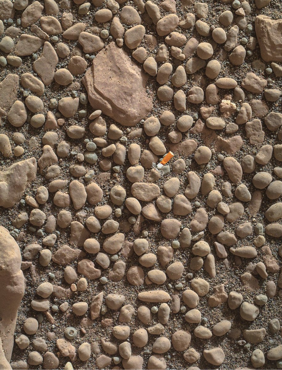 Mancunarian's tweet photo. @MichelleLHussey 😳 You sure this is real!? #mars #alienssmoking #dogend #BandH #lendusafagmaxineimgaspin https://t.co/a4tyaFhUCz