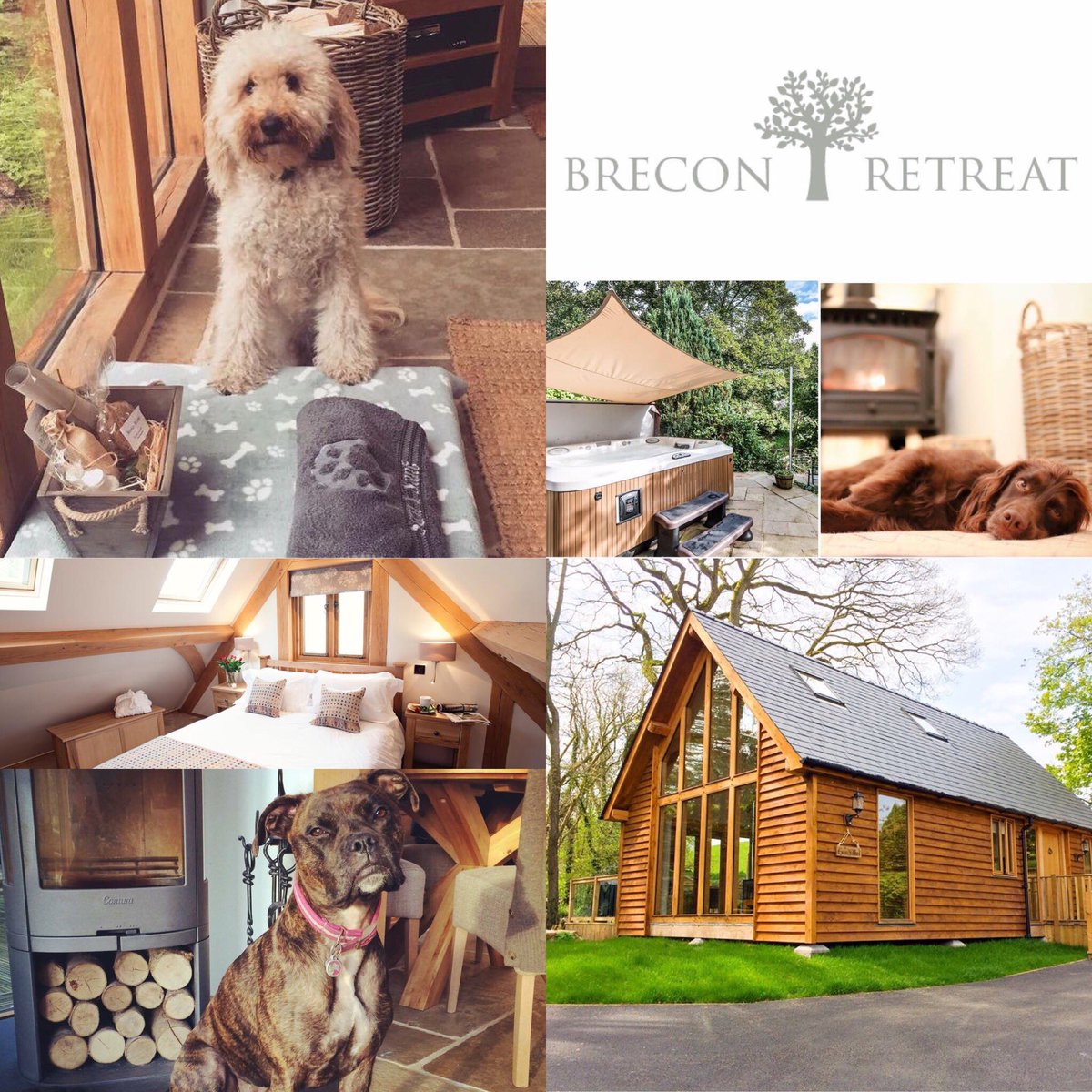 We are delighted <a href="/BreconRetreat/">Brecon Retreat</a> have renewed their listing 🐾

Never mind going to stay, I want to move in! With all the creature comforts you could possibly wish for, this 5 star #luxurylodge in #Brecon is guaranteed to set tails wagging 

dotty4paws.co.uk/businesses/lis…

#EarlyBiz