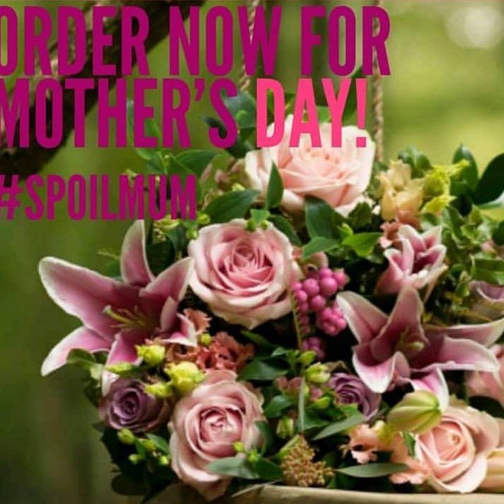 instagram.com/p/BvdqNYelu7s/…