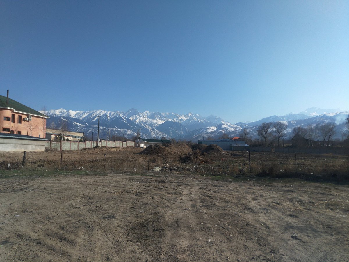 Мишка (@electricaev) on Twitter photo 