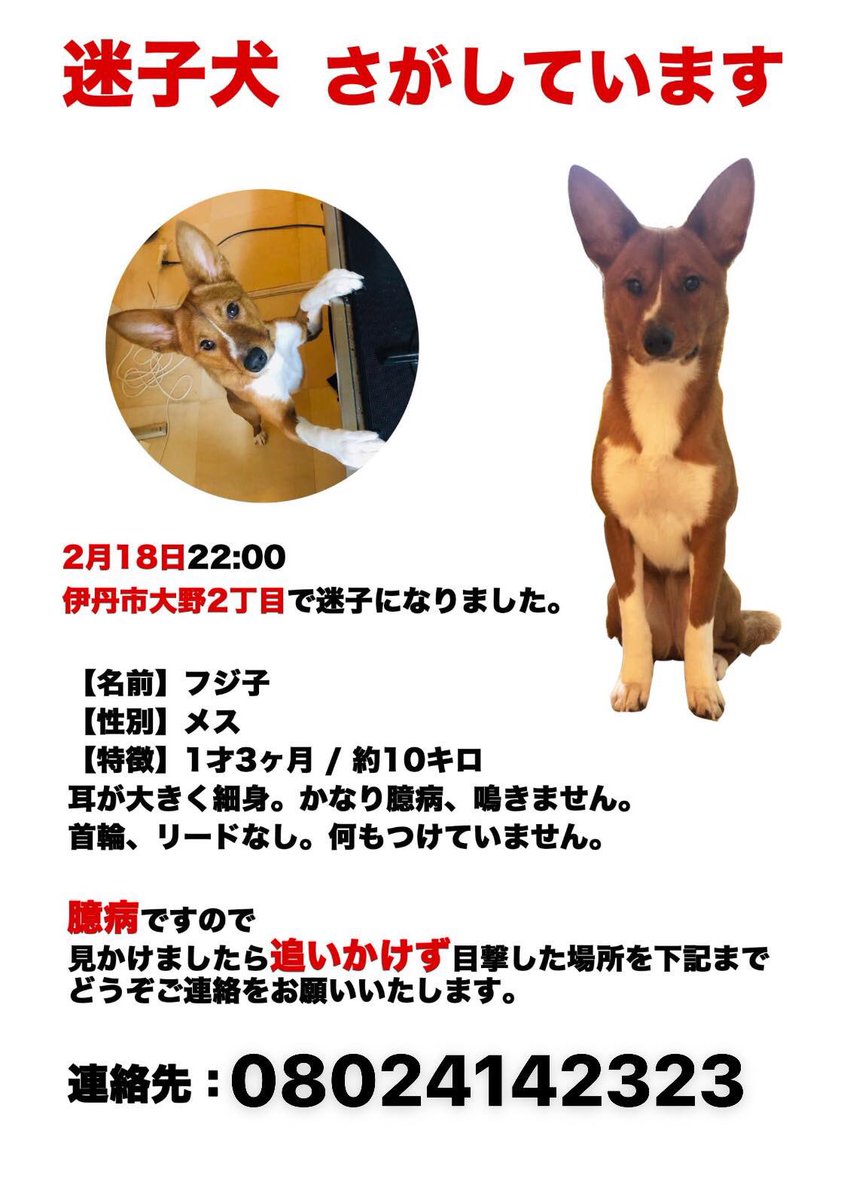 GUARDIA28717530's tweet photo. シェア拡散お願いします

2月14日 午後10時頃
伊丹市大野２丁目界隈で
逃走しました

3月5日 
伊丹市水原3丁目17
足を怪我していてる所を目撃されています

これが最後の目撃です

少しの情報でも良いです連絡下さい https://t.co/i0GehYJKCJ