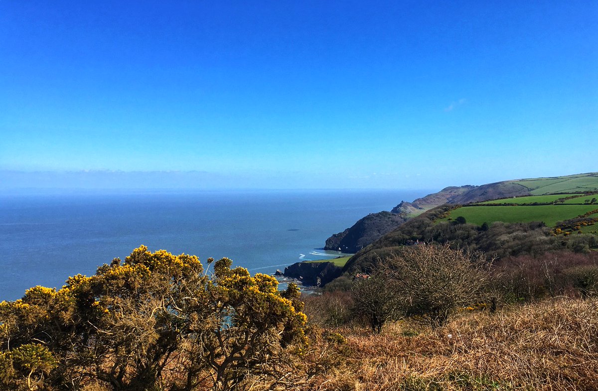 visitexmoor's tweet photo. It’s been a good week so far - at least it has hereabouts...#EscapetoExmoor #TravelTuesday  
#VisitMoorThanOnce https://t.co/xT32QRmxMQ 😊😎👍🏼 https://t.co/exW1dTVnTS