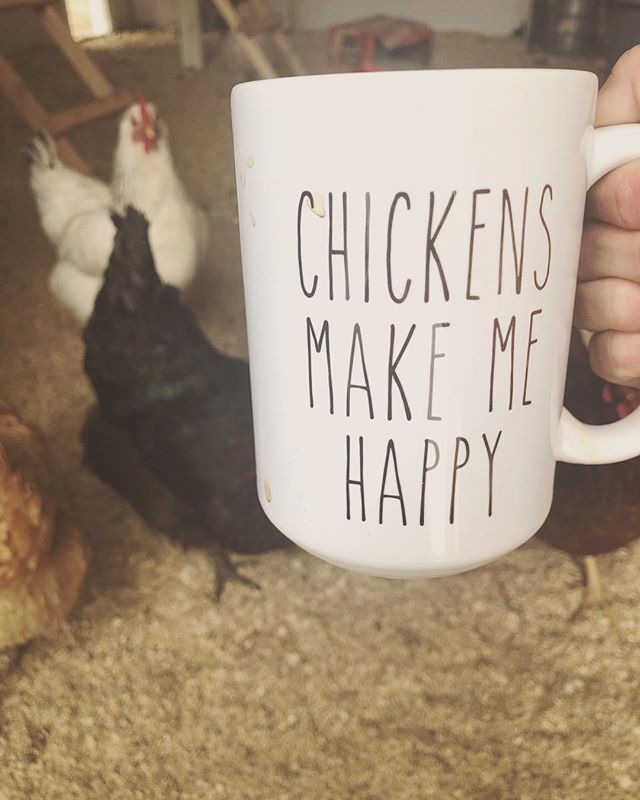 CoopCrate's tweet photo. Chickens make me happy... like ridiculously happy I hope they make you happy too!! Raise your hand if your tiny raptors give you all the warm and fluffys!! 🙋🏻‍♀️🙋🏻‍♀️🙋🏻‍♀️🙋🏻‍♀️🥰 https://t.co/dEQVtl4ywv https://t.co/sZ1WfpdPiB
