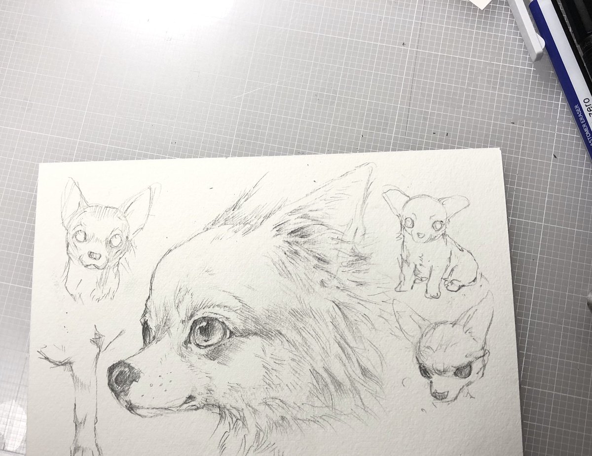 最近仕事に追われて犬や猫の絵を練習するヒマがありません。
3日くらいずーっとデッサンしたり落書きしたり水彩画の練習して過ごしたいなぁ。 