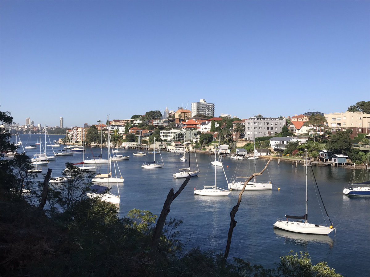 JasonJMcDougall's tweet photo. I fucking hate running - but this was nice.
Cremorne Point.
#Sydney #MySight https://t.co/QJfHyPkKLT