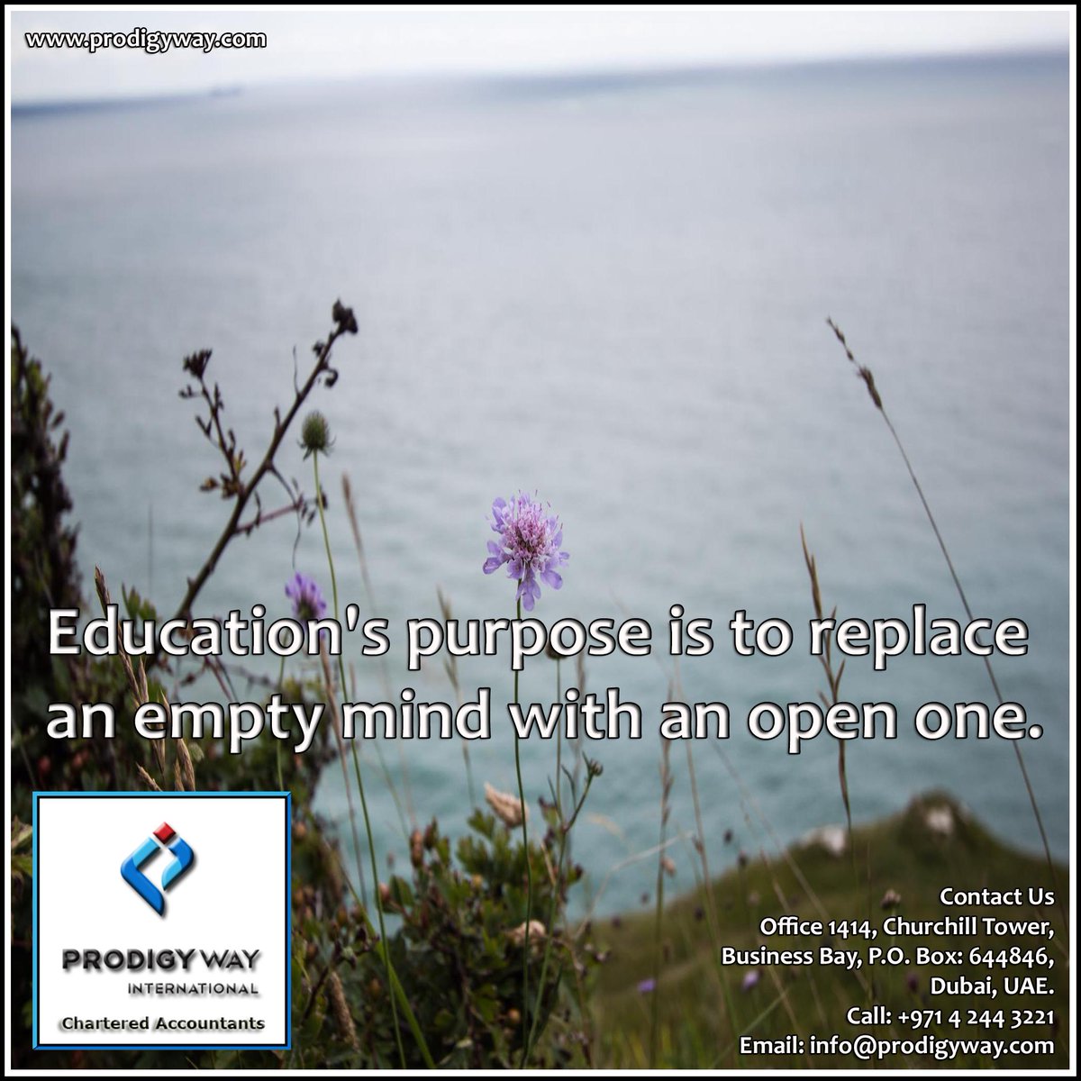 ProdigywayIntl's tweet photo. #financialadvisor #auditfirm #taxation #advisory #accounting #globalfootprint #timebound #costeffective #solutions #realize #potential #approach #guidance #assistance #experts #balancedapproach #financial #aspirations #ourservices #teamofexperts #auditing #dubai #uae #vatuae https://t.co/kLFRKk0GPh