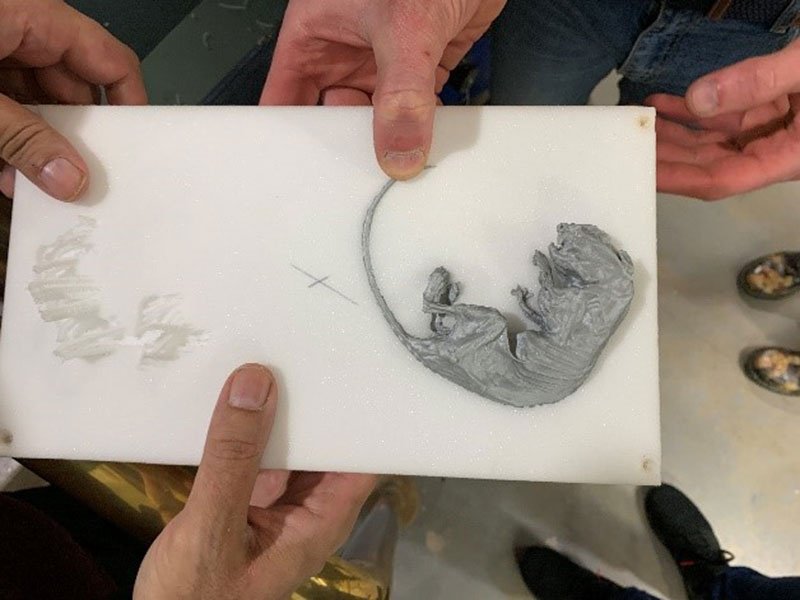 UkNatArchives's tweet photo. Meet the new research staff in our Collection Care team. Find out how they are using 3D printing and chemical testing to help us protect our collection: https://t.co/dk07e7M0UM #blog #archives #archivescience https://t.co/Zp8j7wY82O