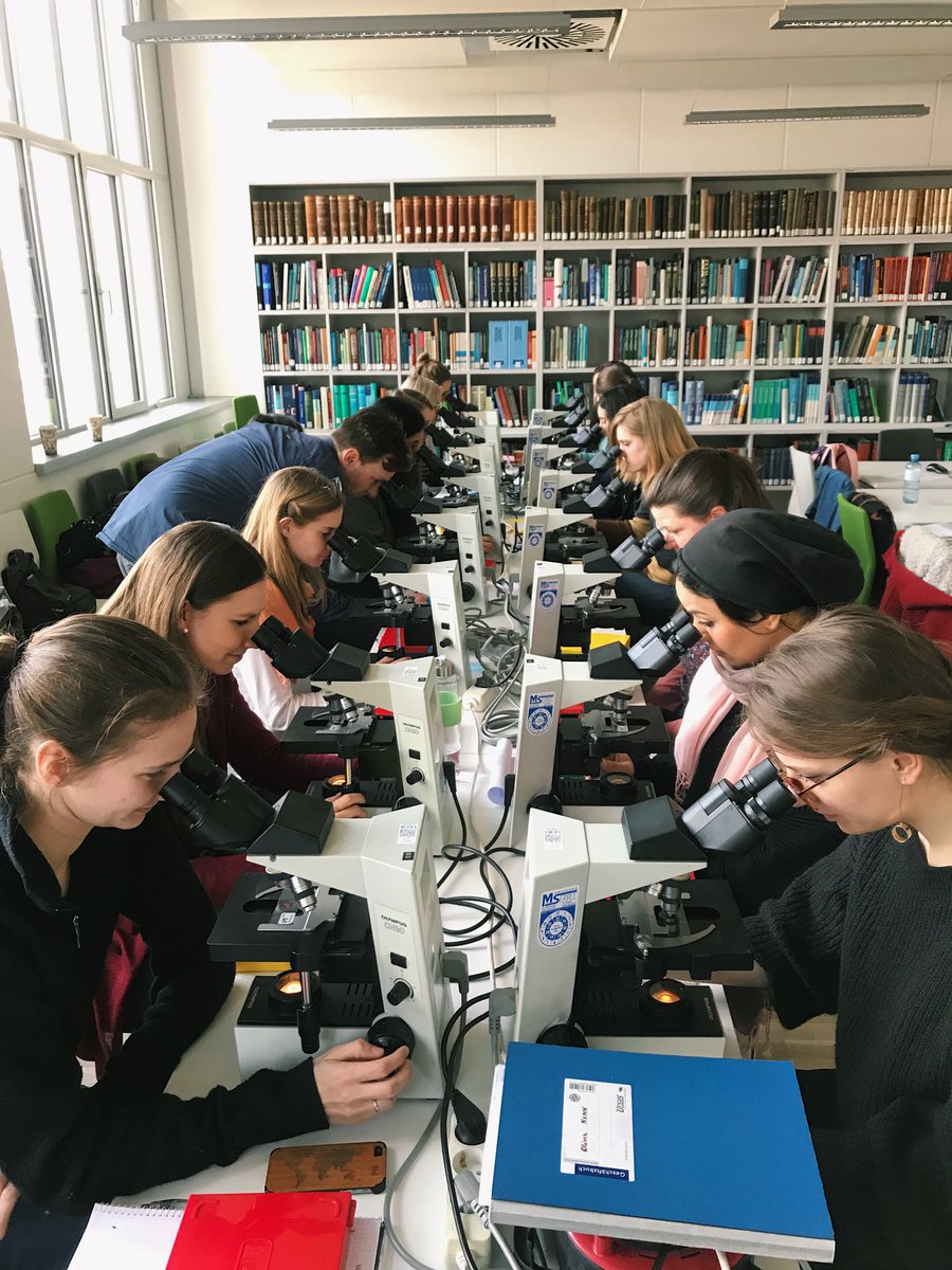dp_idp's tweet photo. Behind the scenes: Our microscopy course is well underway #DP-iDP #phdlife #placentaresearch #Science https://t.co/PU1SuCHXKM