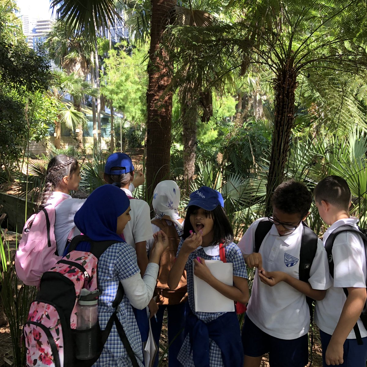 merrylandseast's tweet photo. During their time in the Royal Botanic Gardens, stage 3 visited the Cadi Jam Ora Garden and explored some of the traditional uses of Australian native flora. https://t.co/xWTsB1Jfvs