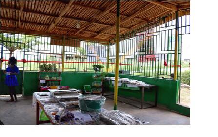 Welcome to KITA's Green Market! What do you think about some fresh veggies?
#ecofriendly #ecomarket #organic #bioproducts #sustainability <a href="/Ghana/">We are Ghana</a>