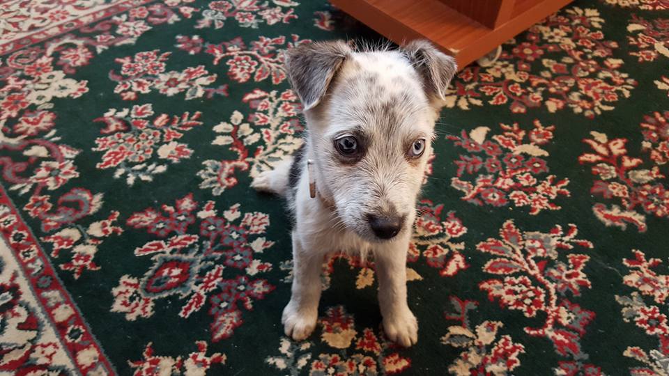 Morning from here😎😍👍😘