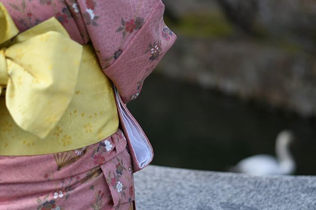 HayatoIml's tweet photo. きいろのその先に。

#yellow #yukata #swan #japan https://t.co/mS9BCC2UDK https://t.co/nVqFMa3uqO