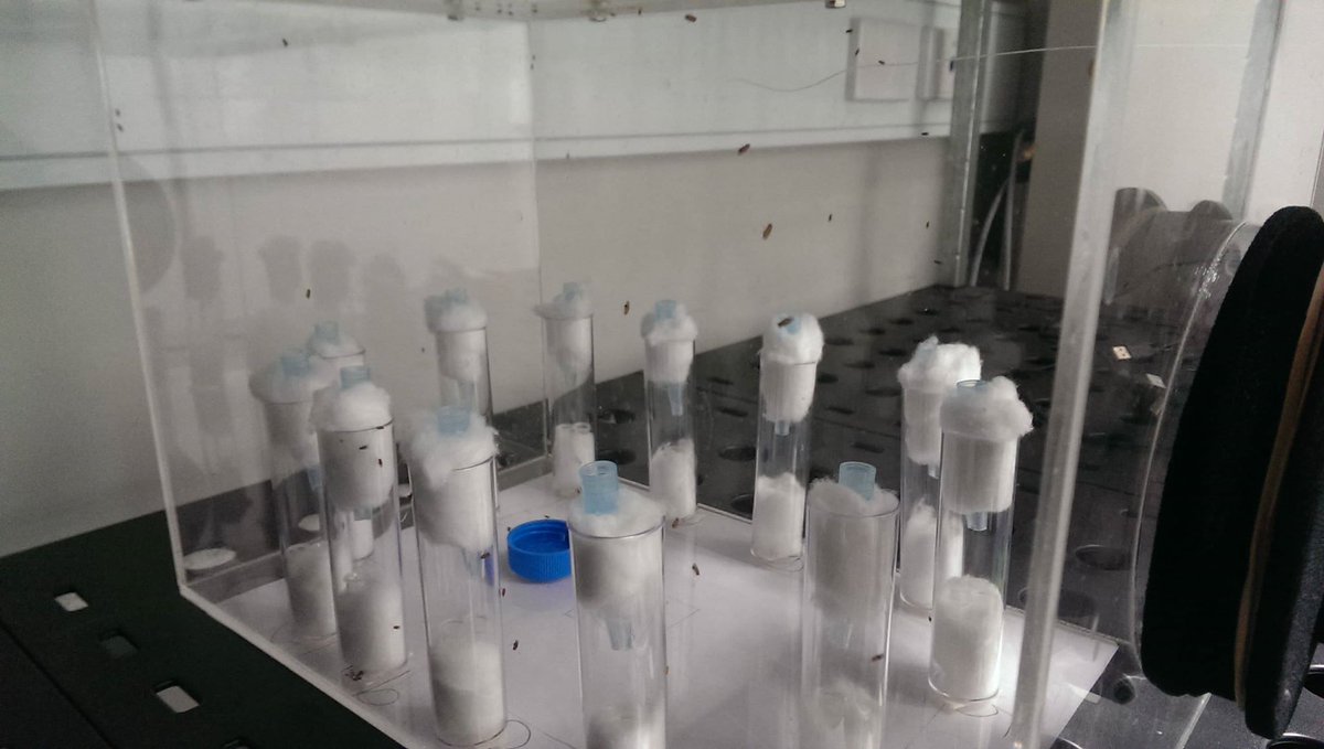 Helen Rushby, PhD tweet media